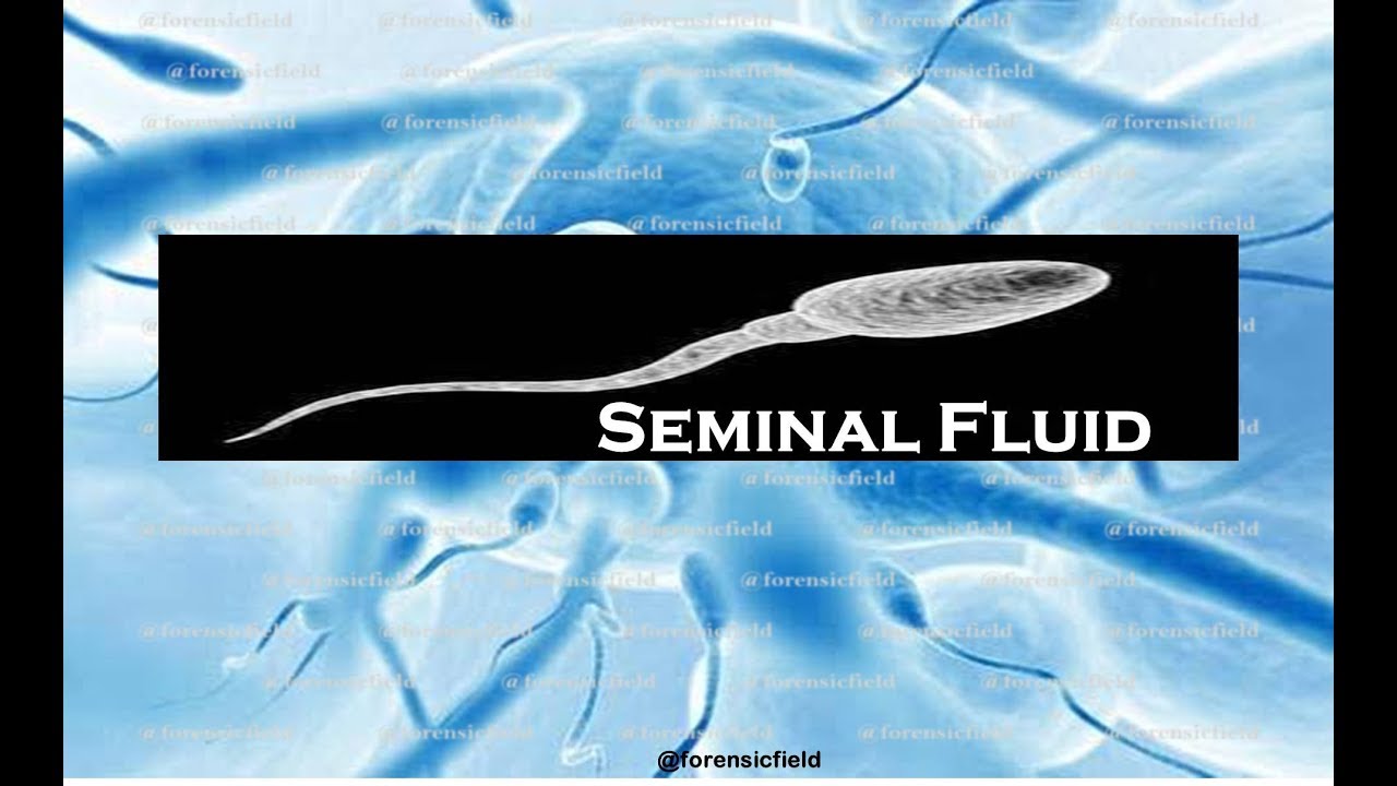 Video thumbnail for SEMINAL FLUID