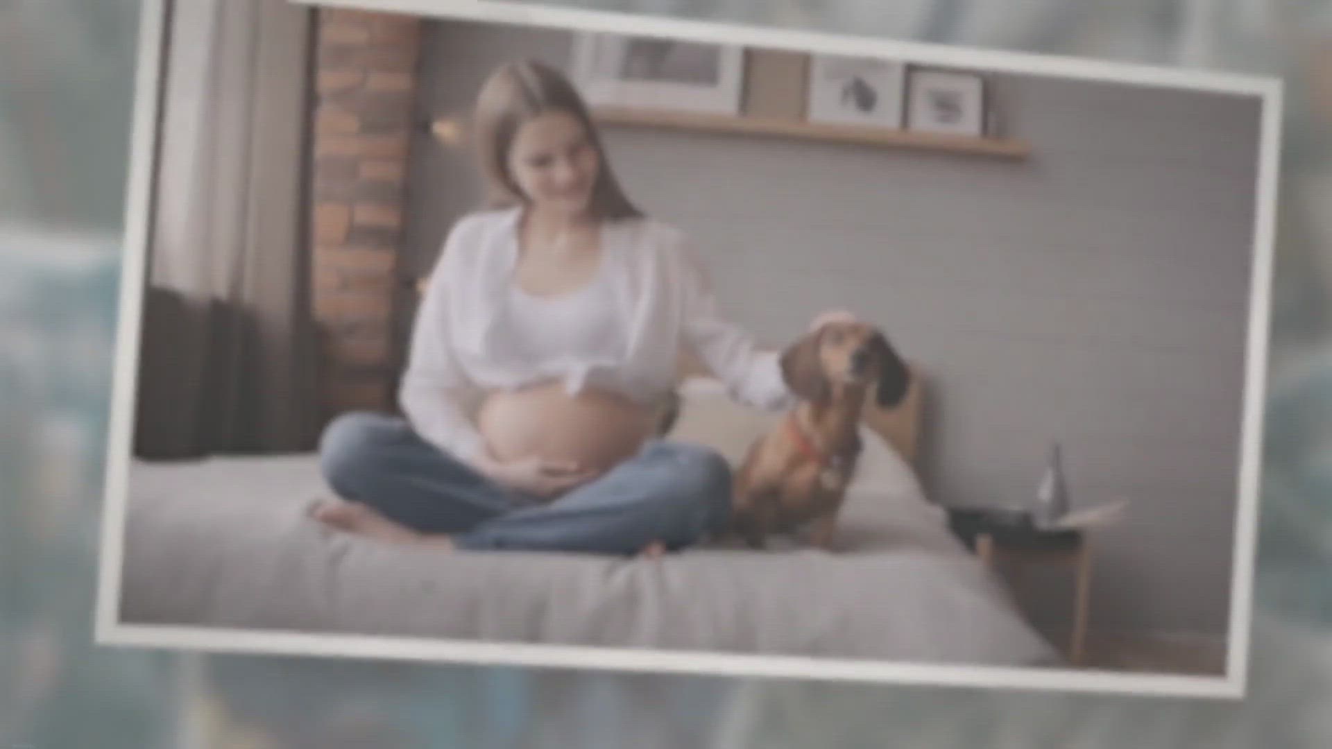 Video thumbnail for 🐱 [7 Tricks] to Help Your Cat and Dog to Get Along