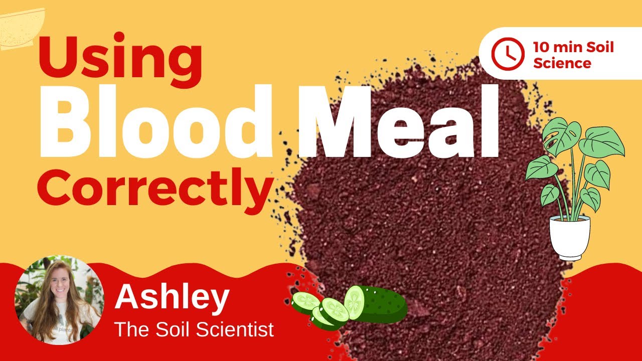 Video thumbnail for What Is Blood Meal Fertilizer? How To Apply Blood Meal To Plants & What Else You Should Add 🌿