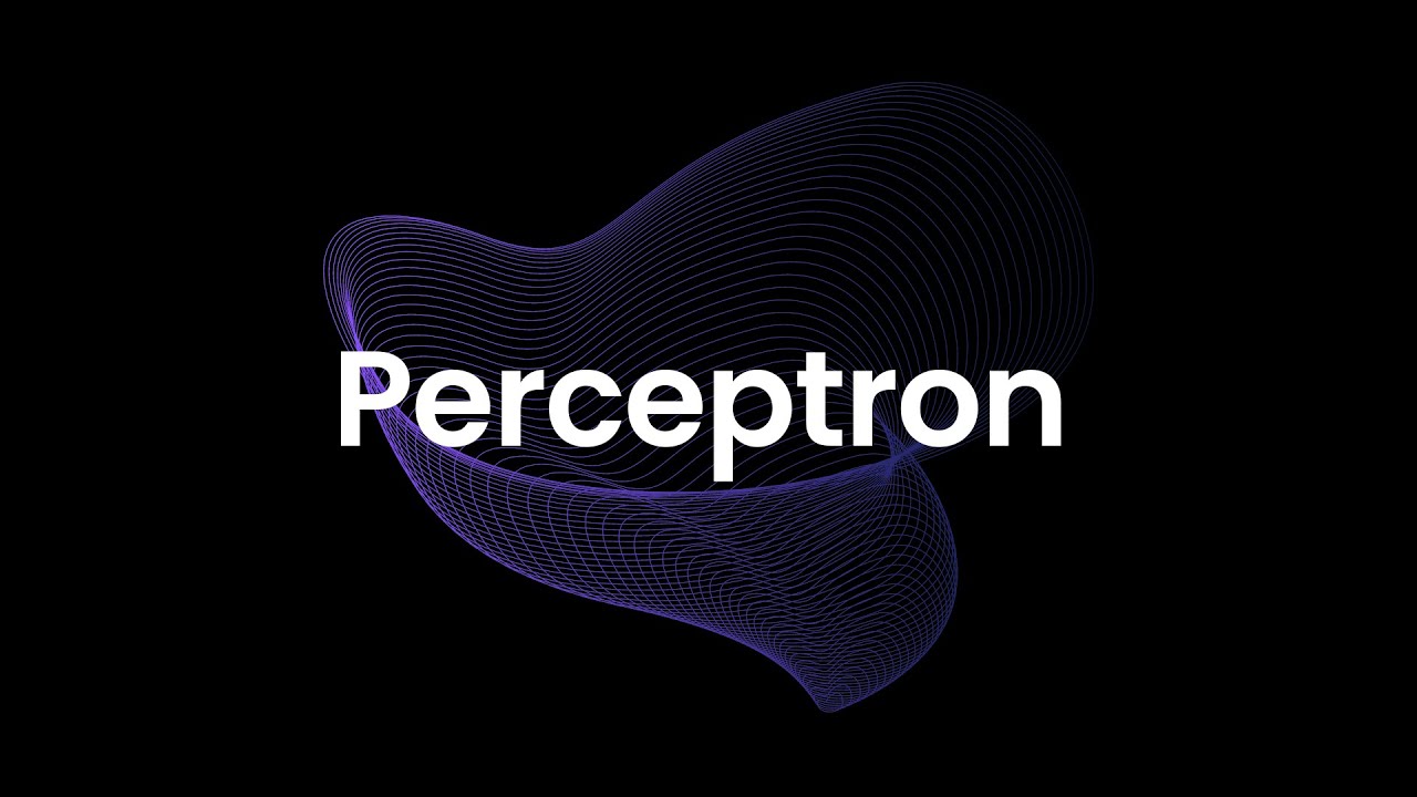 Video thumbnail for The Perceptron Algorithm | Working, Learning, and Code Implementation