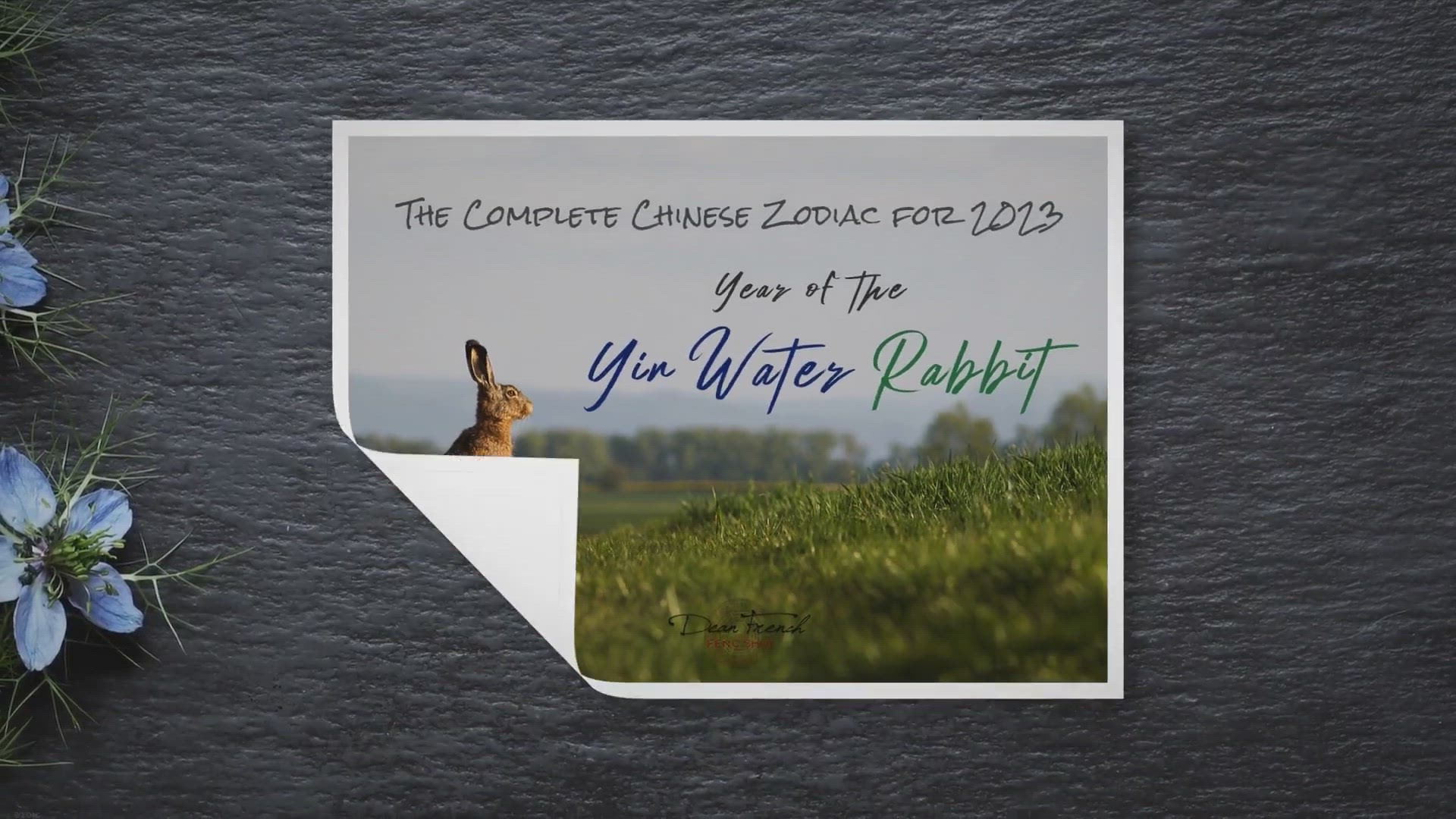 Video thumbnail for  The Chinese Zodiac in 2023 - Year of the Yin Water Rabbit