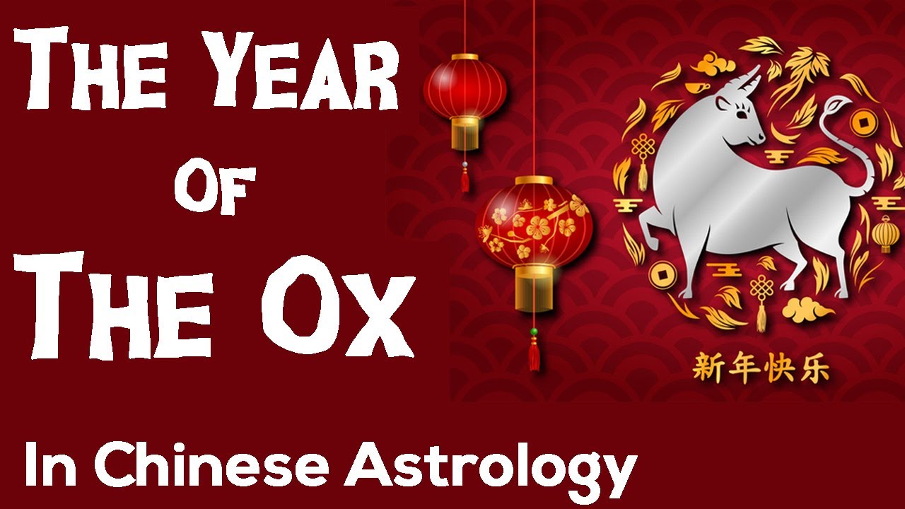 Video thumbnail for The Year Of The Ox - Chinese Astrology - Chinese New Year 2021