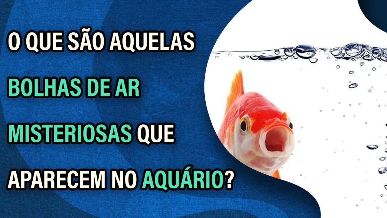 Video thumbnail for O que são aquelas bolhas de ar misteriosas que aparecem no aquário?