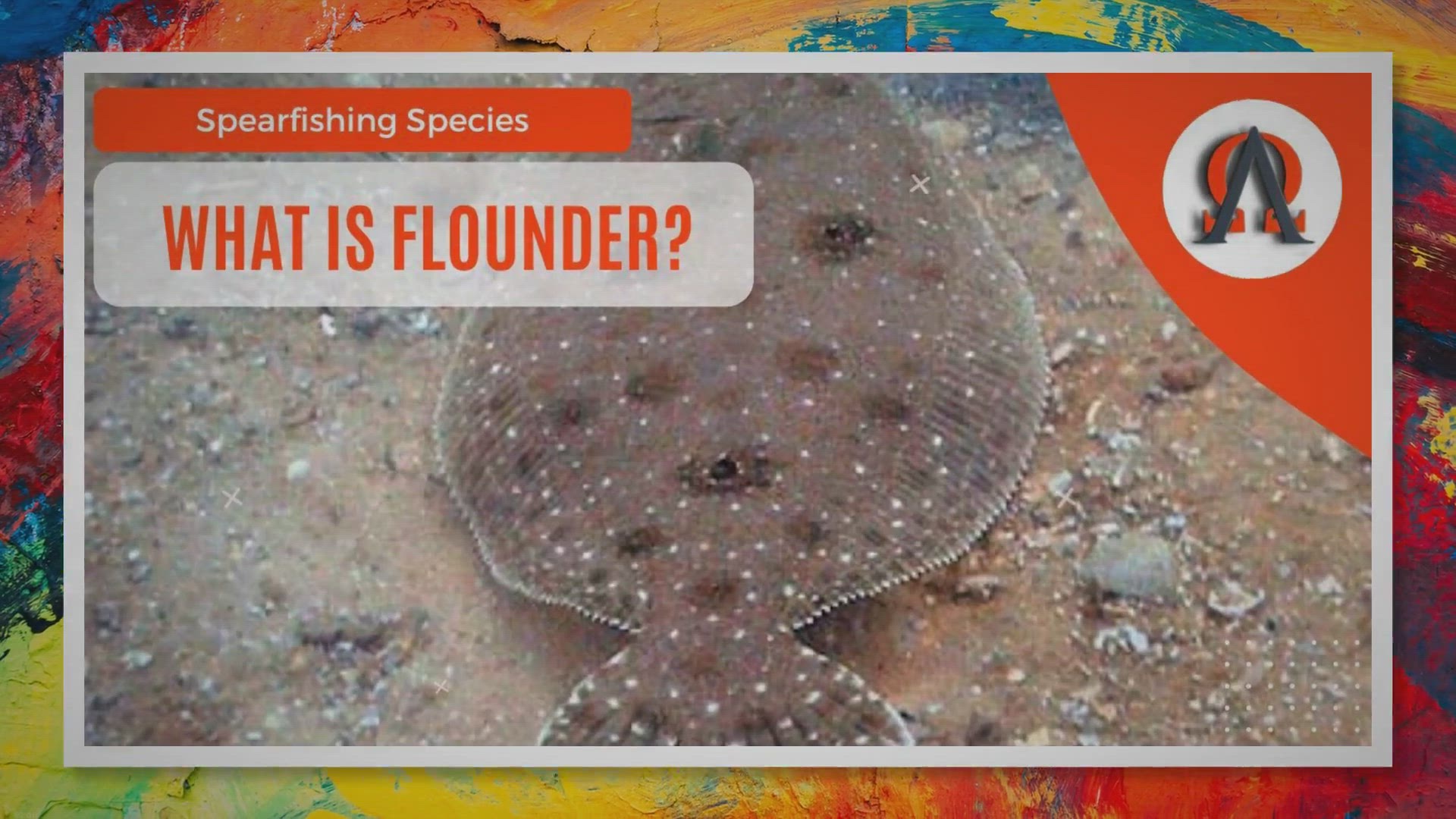 Video thumbnail for What Is Flounder?