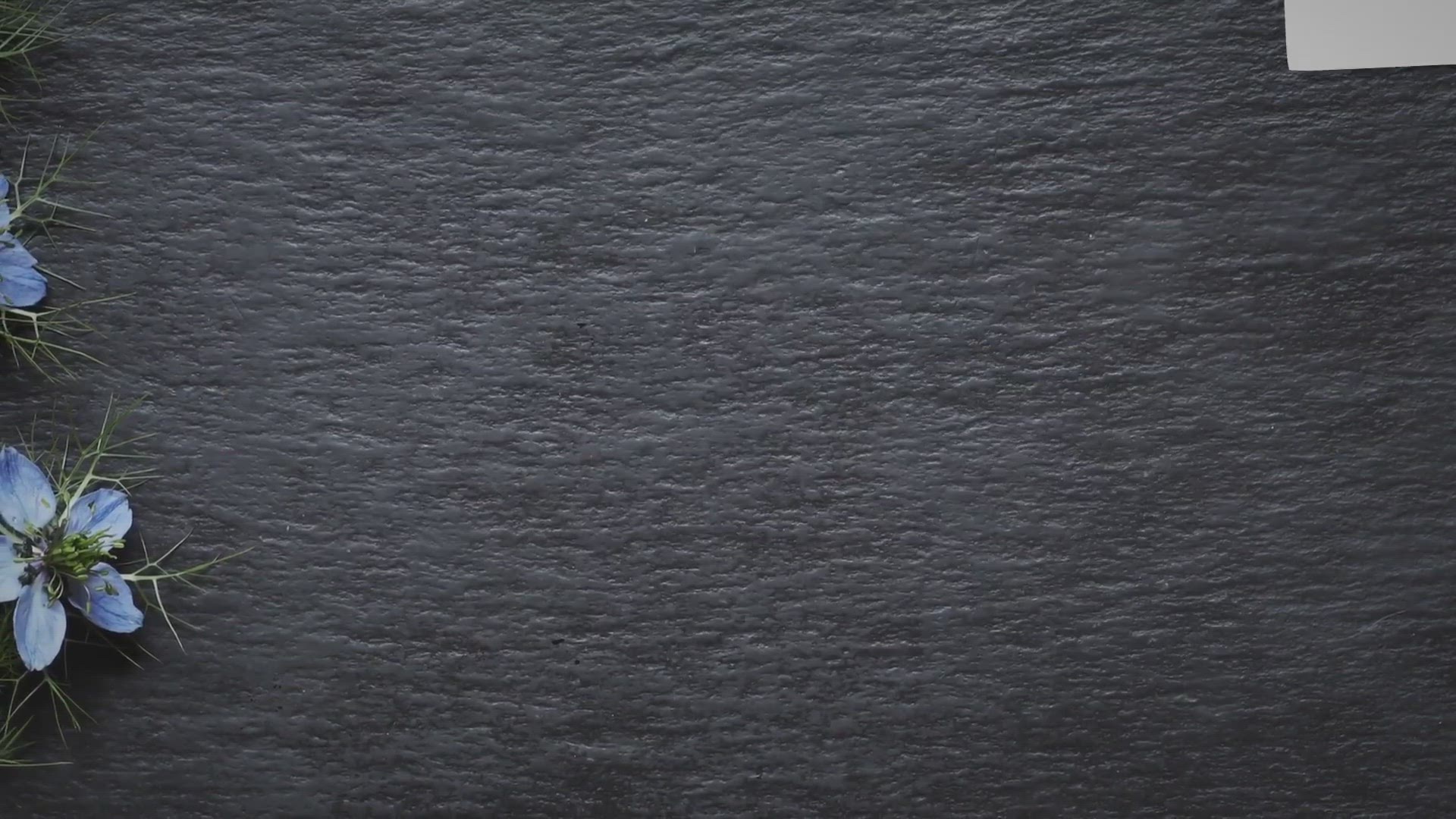 Video thumbnail for The Ultimate Guide To Starting Seeds Indoors