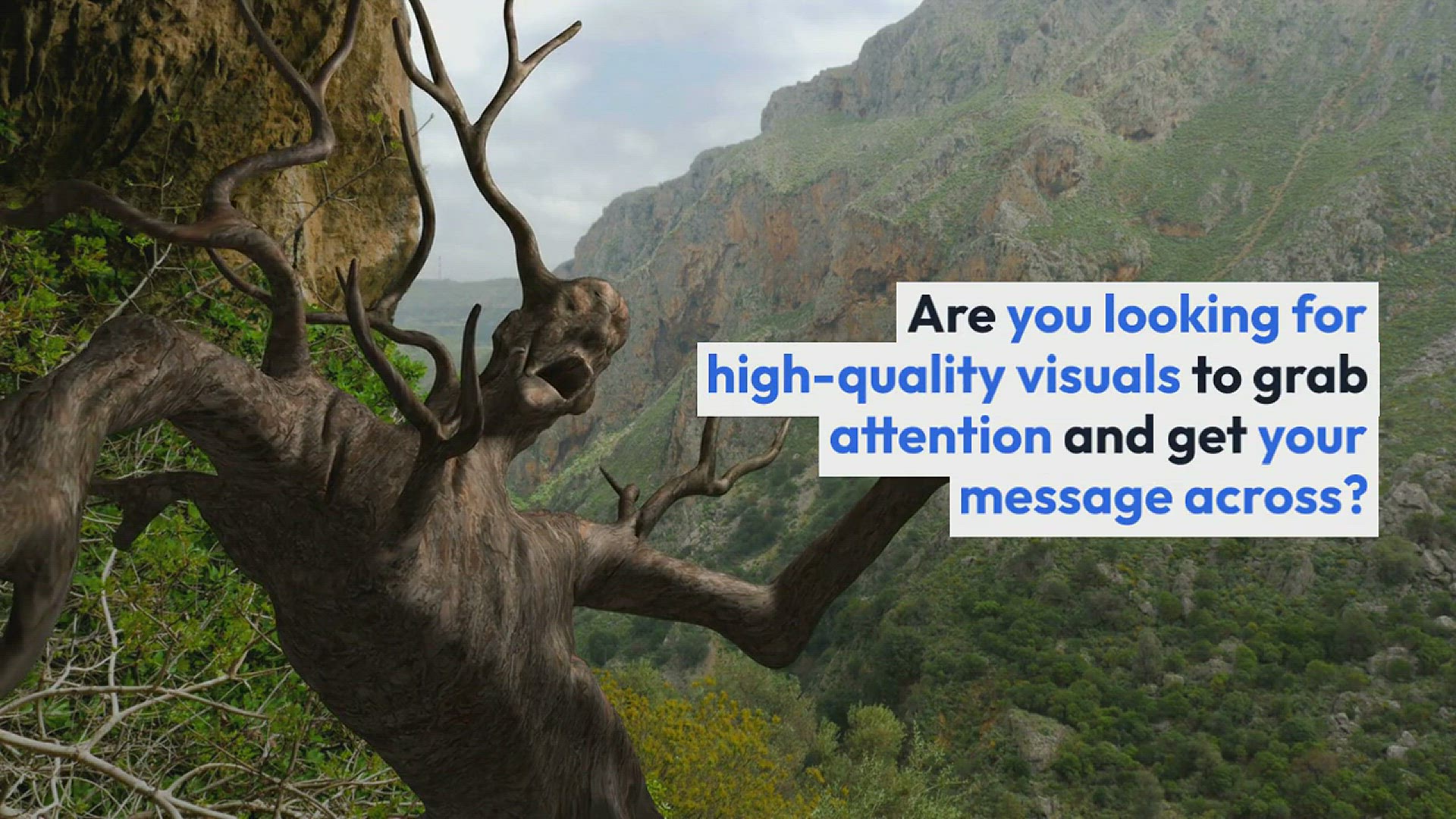 'Video thumbnail for 9 Sites for Free Business Stock Photos (Updated for 2023)'