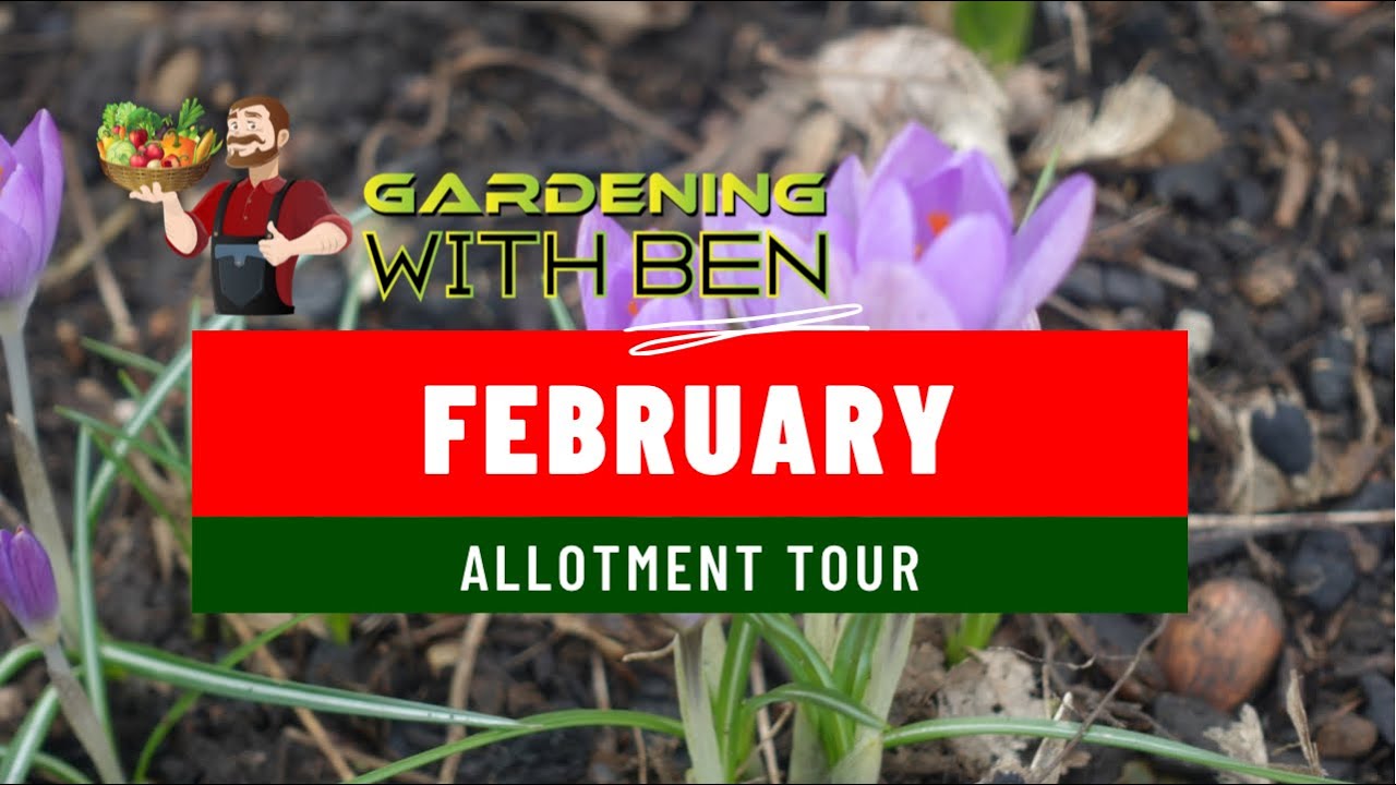 Video thumbnail for February Allotment Tour  | Winter Updates & Early Prep Tips for a Thriving Spring Garden