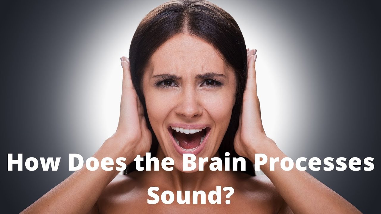 'Video thumbnail for How Does the Brain Processes Sound'