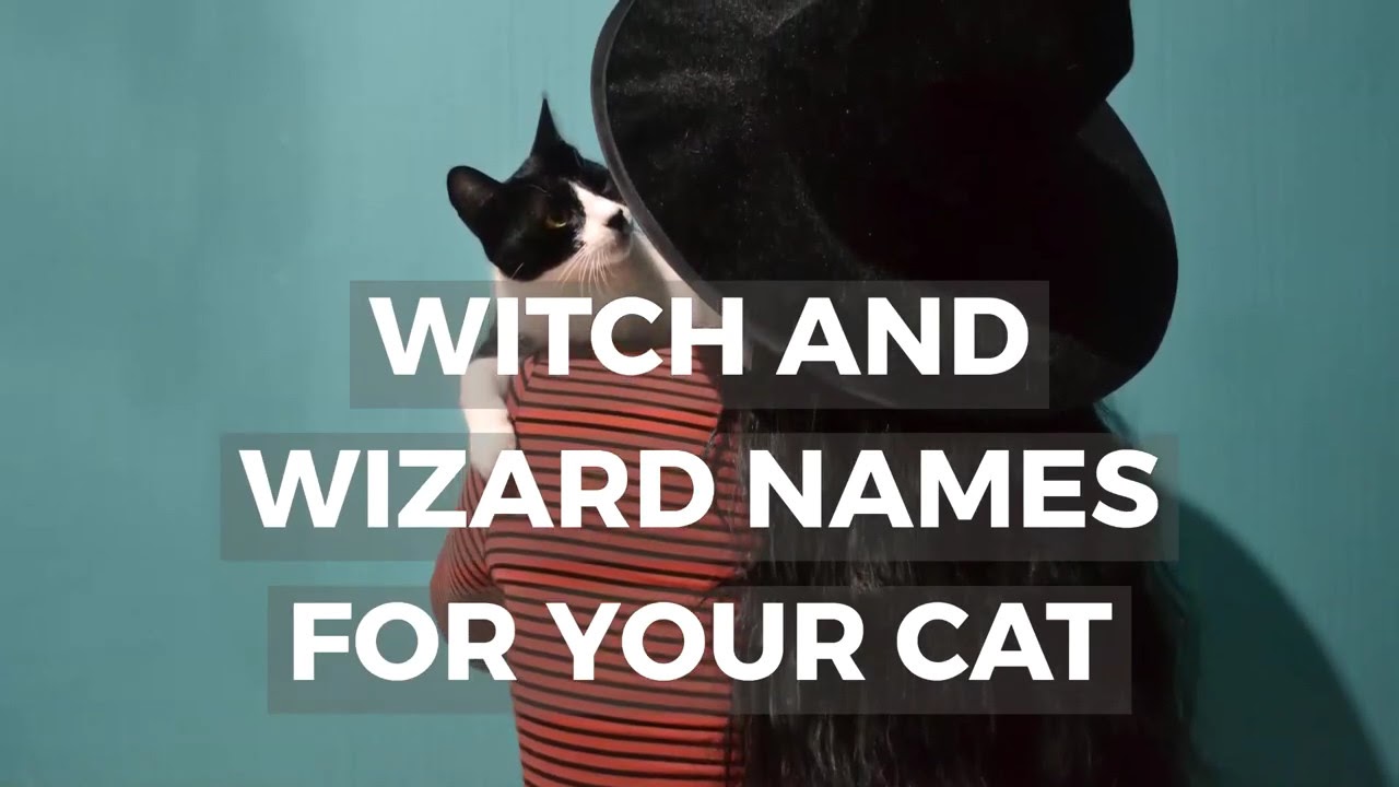 Video thumbnail for Wizard Witch Cat Names