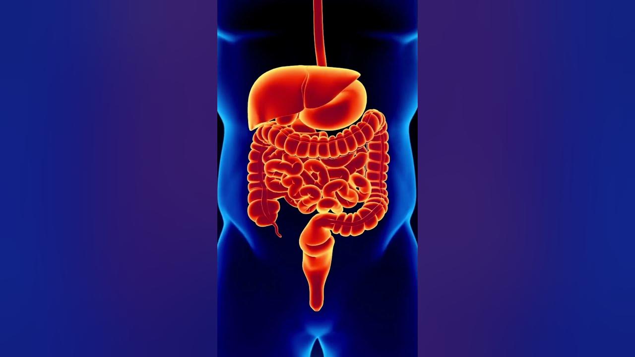 'Video thumbnail for Root of Good Health: Uncovering Valerian Benefits #shorts'
