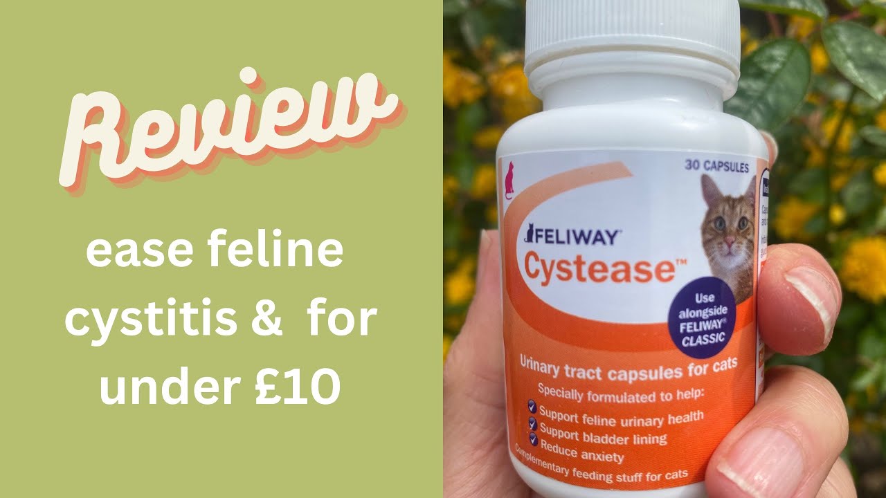 'Video thumbnail for One Way to Ease Cystitis Pain and Stop Cystitis for Under £10'