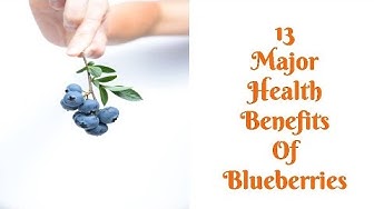 Video thumbnail for 13 Major Health Benefits of Blueberries