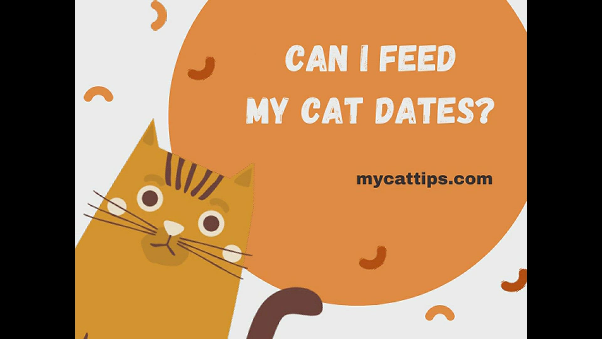 Video thumbnail for Can I Feed My Cat Dates?