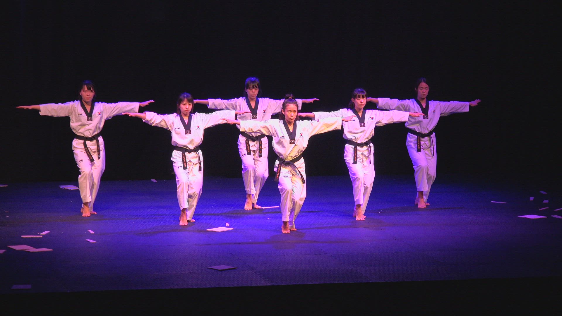 Video thumbnail for TaeKwondo Demonstration