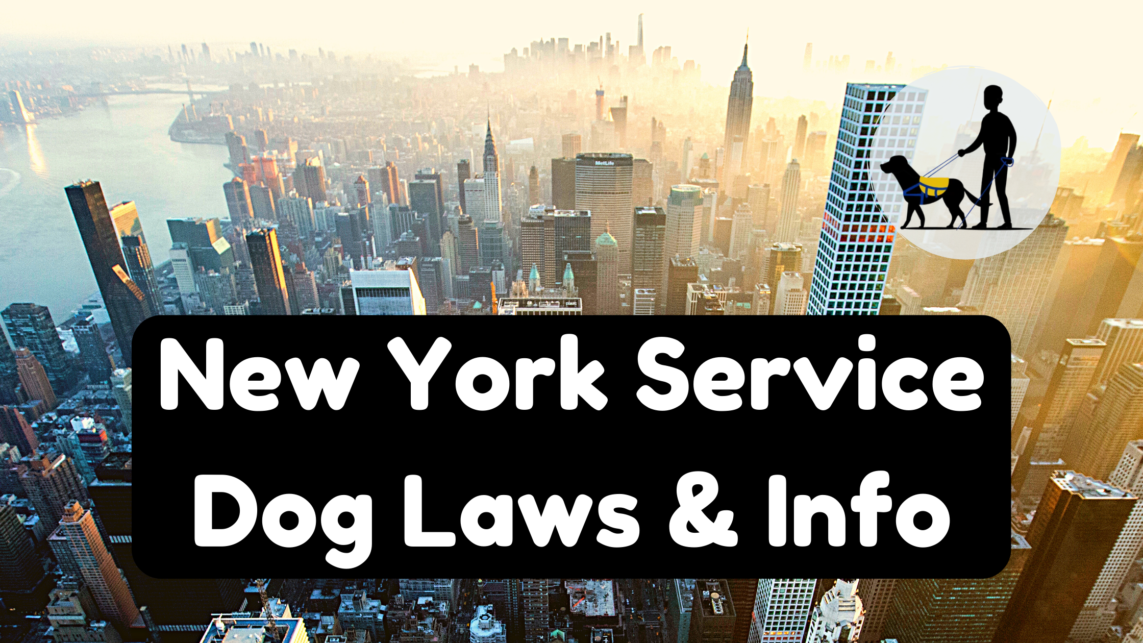 Video thumbnail for NEW YORK Service Dog Laws & Info