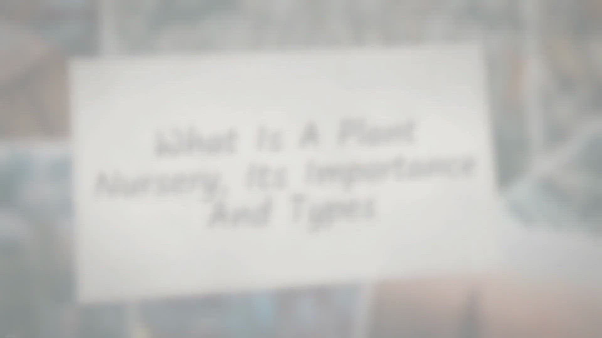 Video thumbnail for What is a plant nursery, its importance and Types