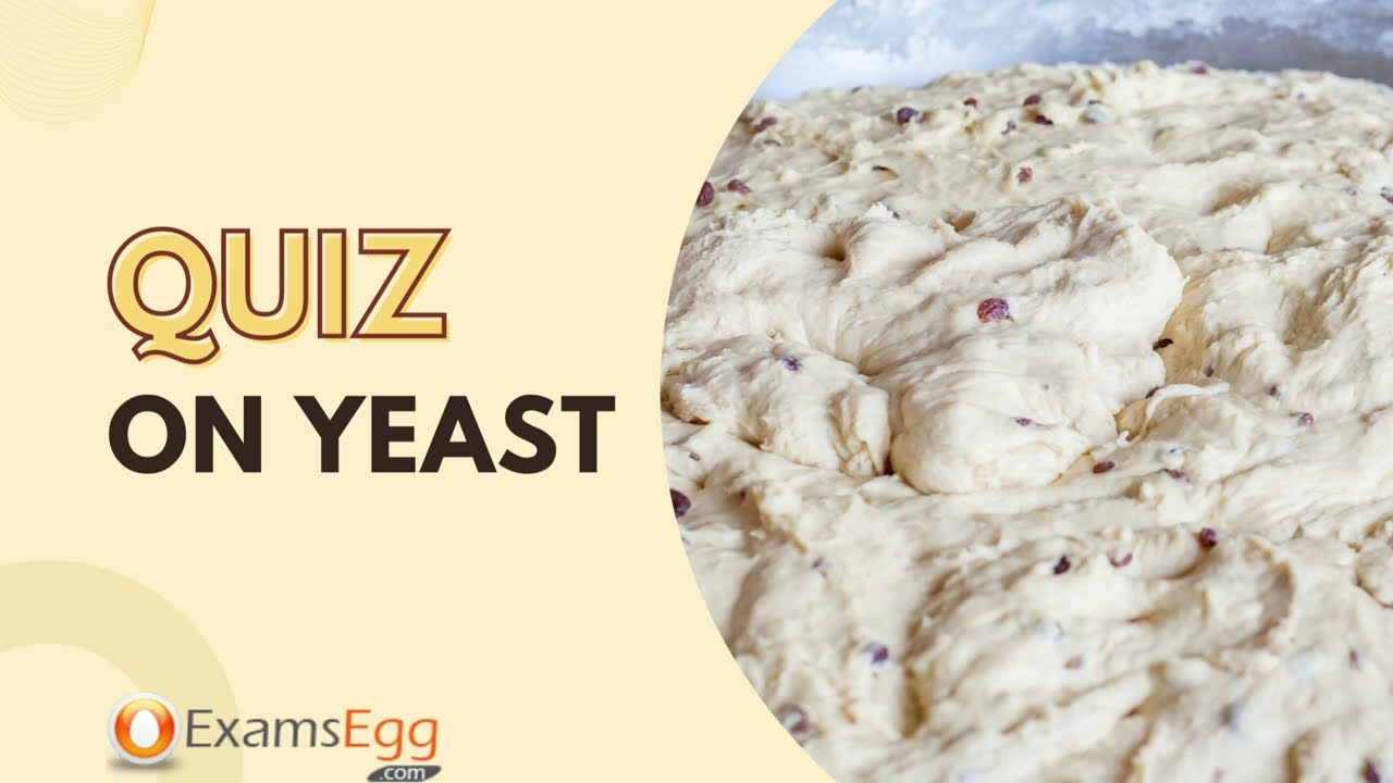 'Video thumbnail for Quiz on Yeast (Food Science) | Examsegg'
