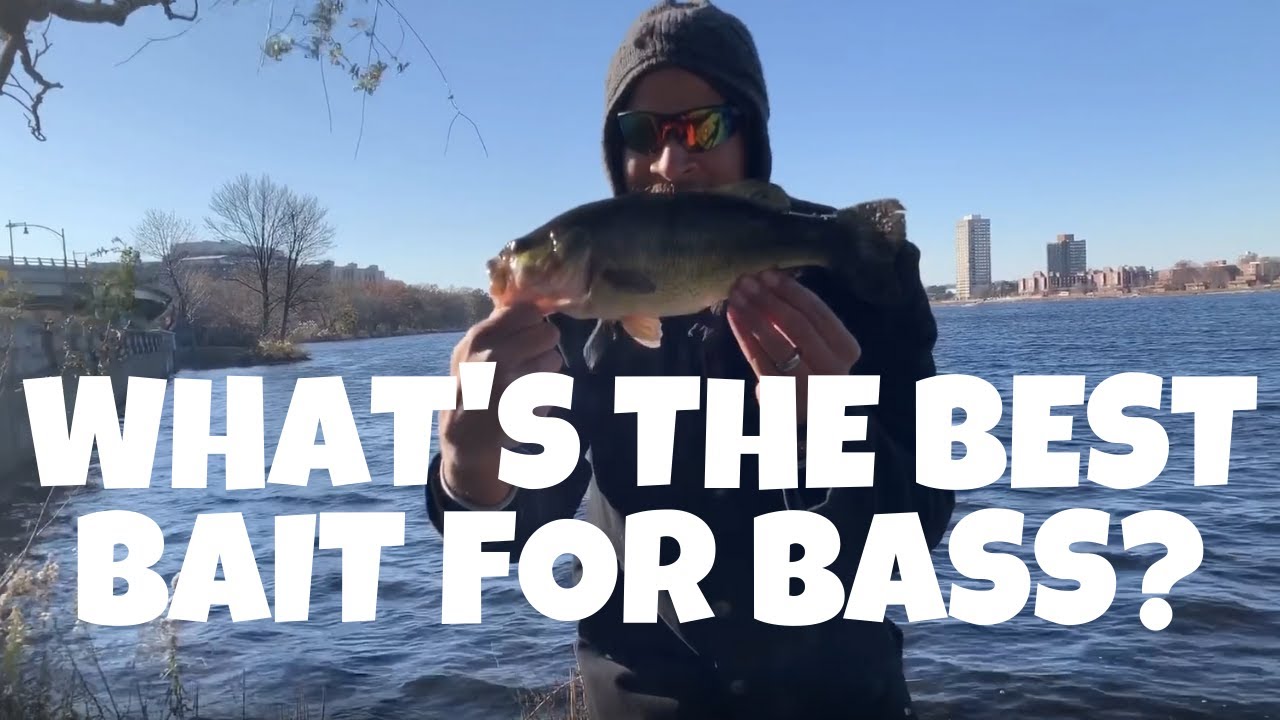 'Video thumbnail for What's The Best Bait For Bass? - Learn Why You Need To Use This Lure And How!'