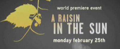 Video thumbnail for A Sneak Peek at ABC's 'A Raisin in the Sun'