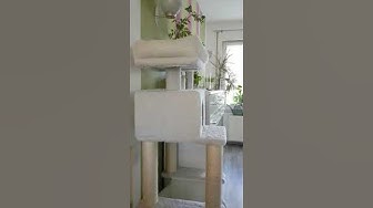 Video thumbnail for Josie vs. Luna