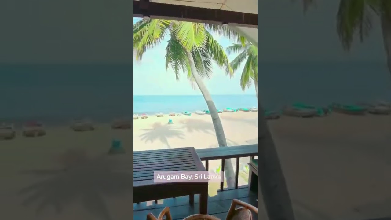 Video thumbnail for Arugam Bay Beach 🌅 Short trip mini vlog #shorts