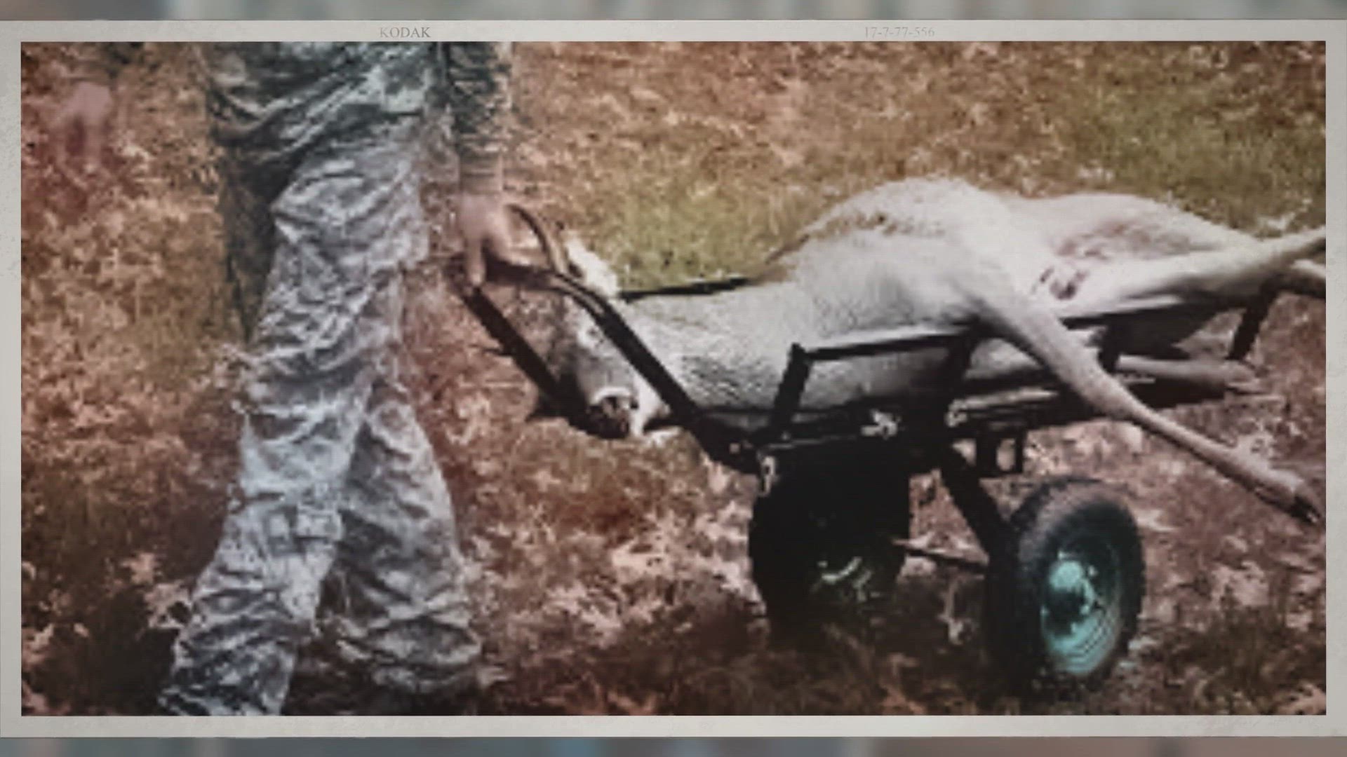 Video thumbnail for 8 Best Game Carts Reviewed – 2021 Edition