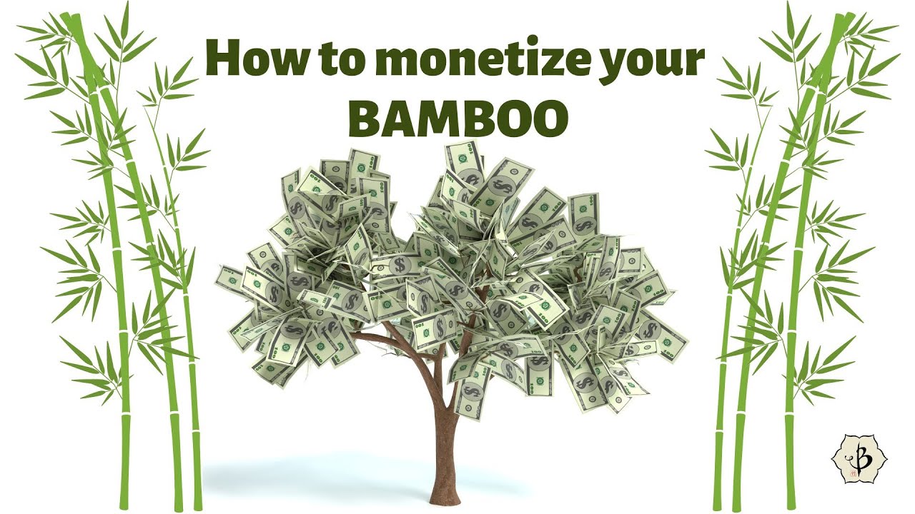 'Video thumbnail for How to monetize your bamboo'