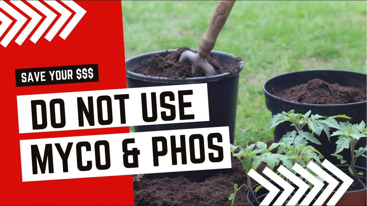 'Video thumbnail for Adding Mycorrhizae To Seedlings. How To Bump Up Seedlings With Mircobes. What You Should NEVER Add.'