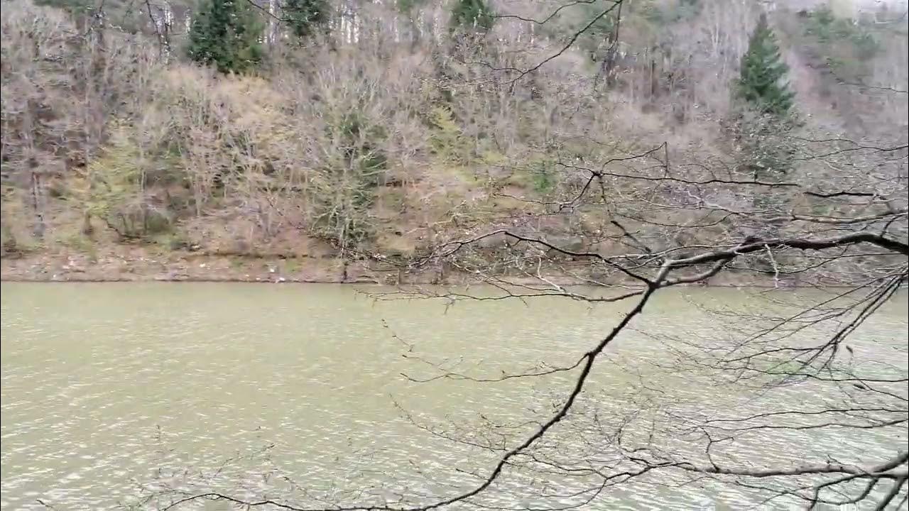 Video thumbnail for Topuzlu Bendi, Belgrade Forest, Istanbul