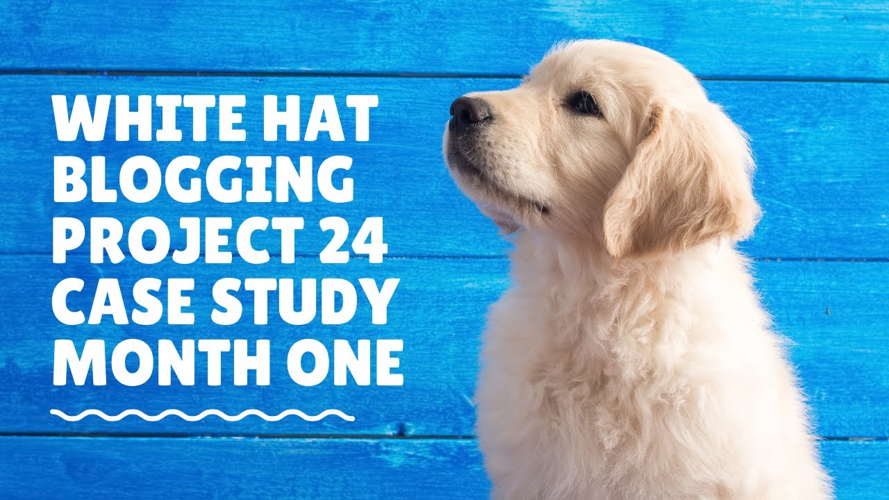 Video thumbnail for Path To Freedom - A Project 24 Case Study - Month 1 #ProjectNeptune