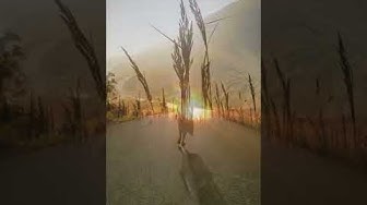 'Video thumbnail for 🙏 REFLEXIONES DIARIAS DE LA VIDA: viral #2022 #dios #shorts #diosesbueno #reflexion'