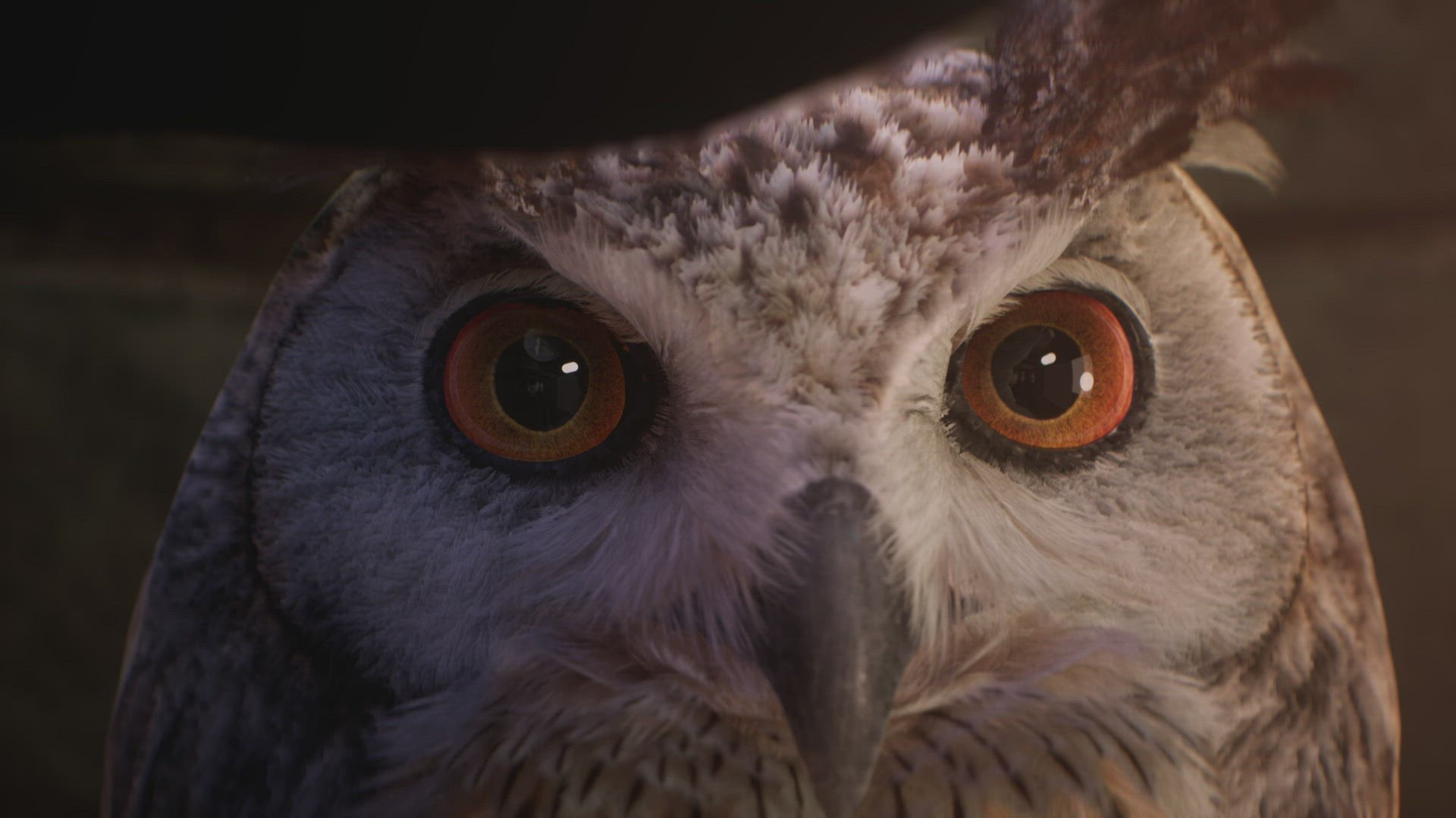 'Video thumbnail for Hogwarts Legacy Cinematic Trailer 4K'