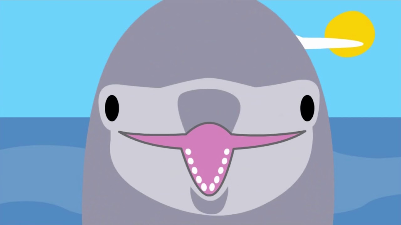 Video thumbnail for EL BUHO BOO - Delfines