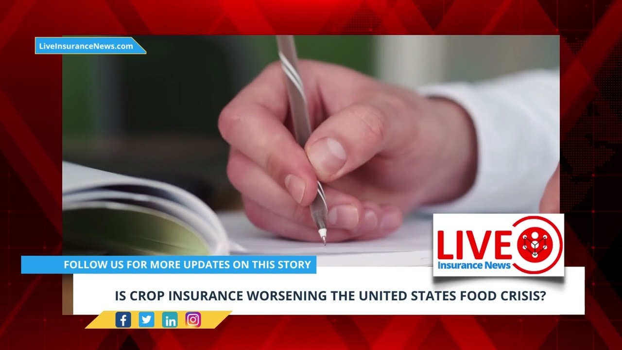 'Video thumbnail for Insurance News - Is crop insurance worsening the United States food crisis?'