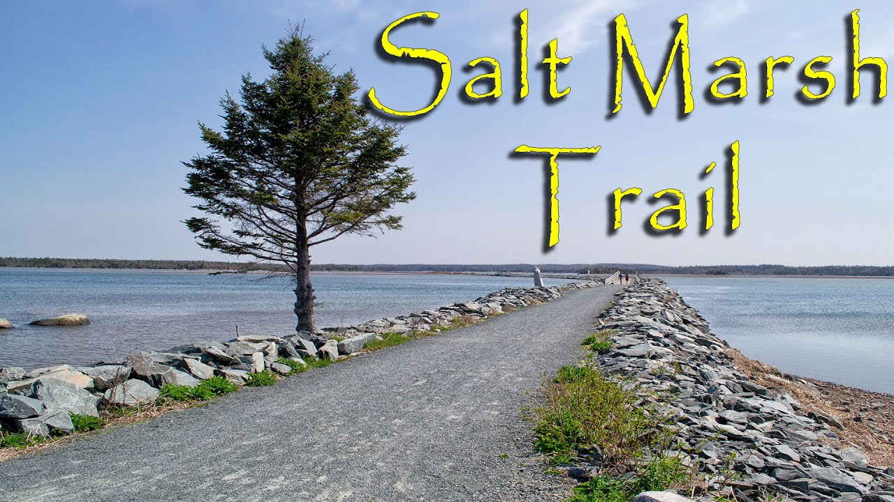 'Video thumbnail for The Salt Marsh Trail, Nova Scotia'
