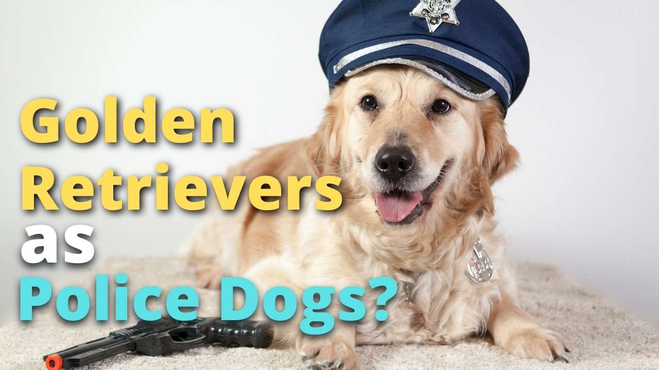 'Video playlist thumbnail'