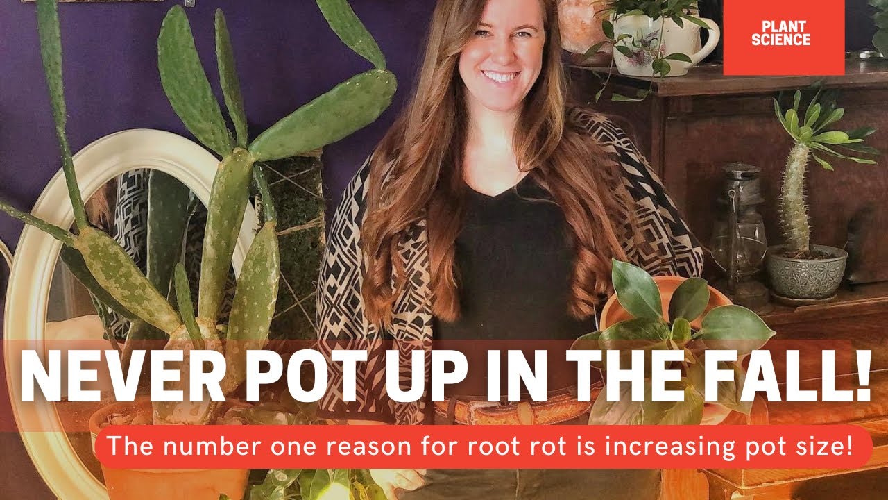 Video thumbnail for Can You Repot Into A Smaller Container? Should You Repot In The Fall? | Soil Scientist Explains 🌿