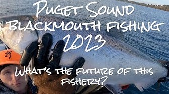 Video thumbnail for Puget Sound Blackmouth closed again!?! What's the future of this fishery?