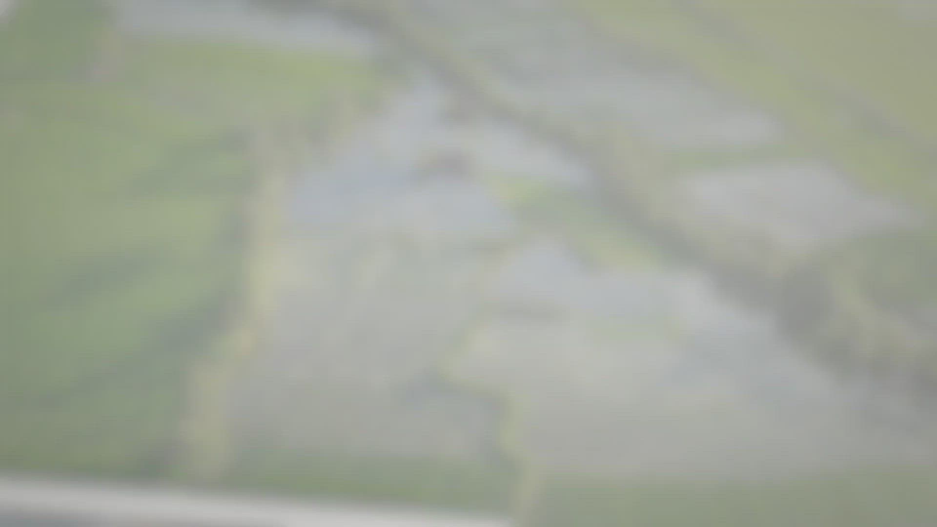 Video thumbnail for How to Deeply Water Plants to Create a Drought Tolerant Vegetable Garden