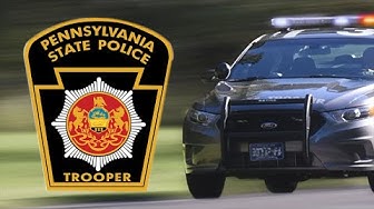 Video thumbnail for Dead Dog Found Shot