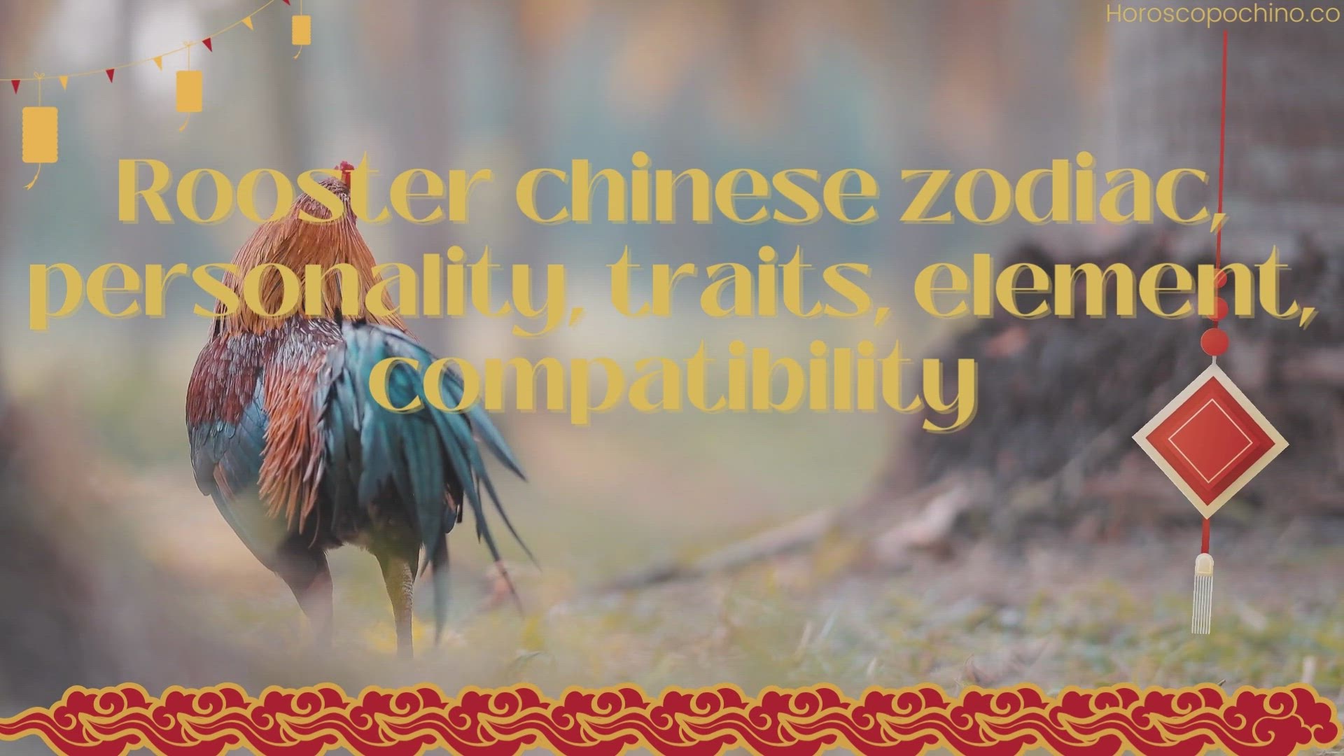 'Video thumbnail for Rooster chinese zodiac, personality, traits, element, compatibility'