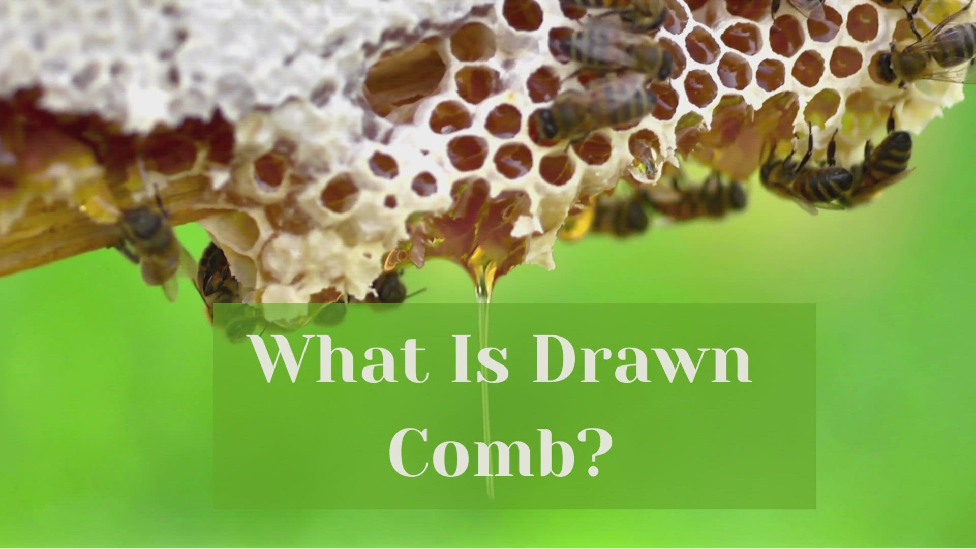 Video thumbnail for What Is Drawn Comb?
