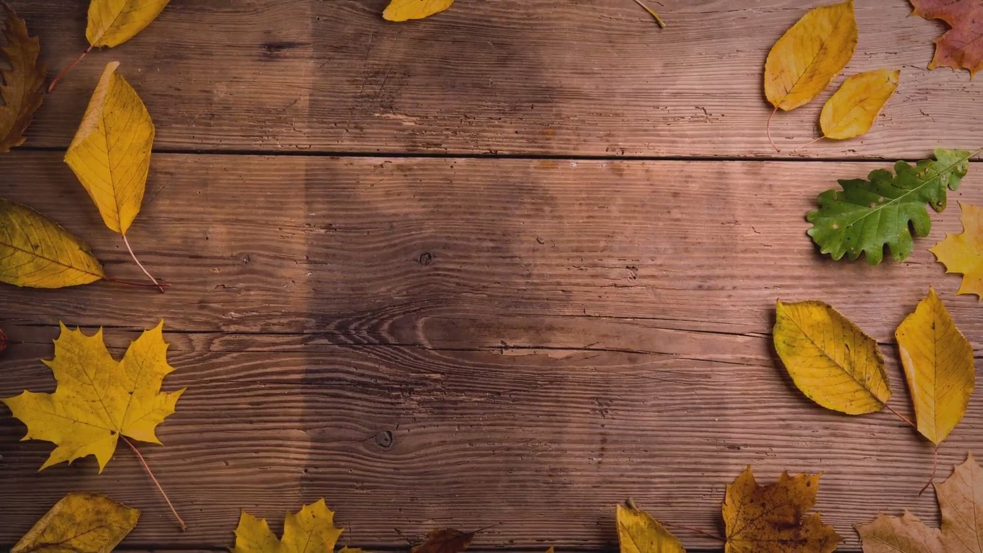 Video thumbnail for Purpose of A Router Insert Plate