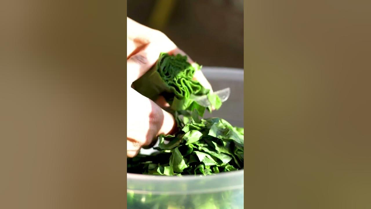 'Video thumbnail for Fight Fatigue with these Fabulous Vegetables #shorts'