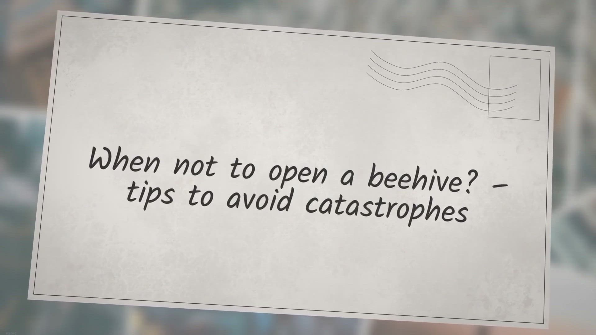 Video thumbnail for When not to open a beehive? – tips to avoid catastrophes
