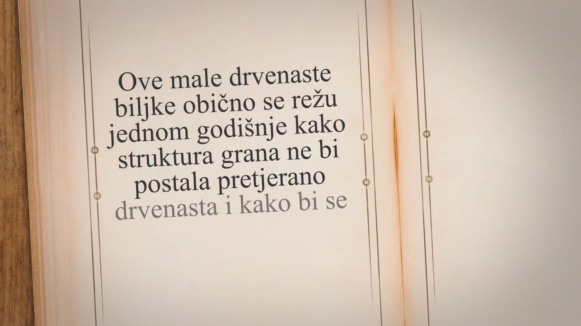 Video thumbnail for Kako orezati ružmarin: Vodič za vrtlare