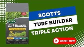 'Video thumbnail for Scotts Turf Builder Triple Action Review: 2022'