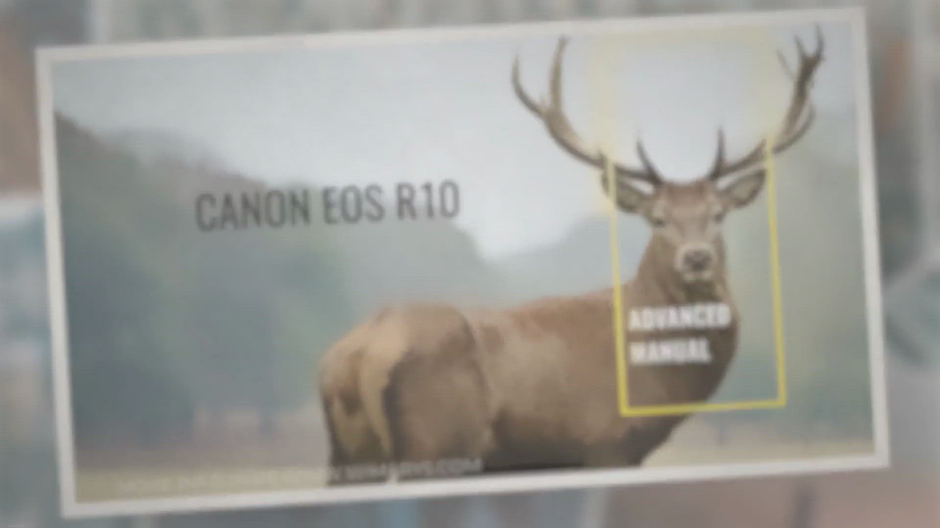 Video thumbnail for Canon EOS R10 advanced manual for photography