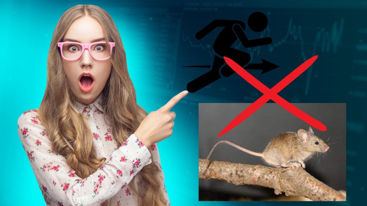 'Video thumbnail for How to Disable the Mouse Acceleration on Windows 11 or 10?'