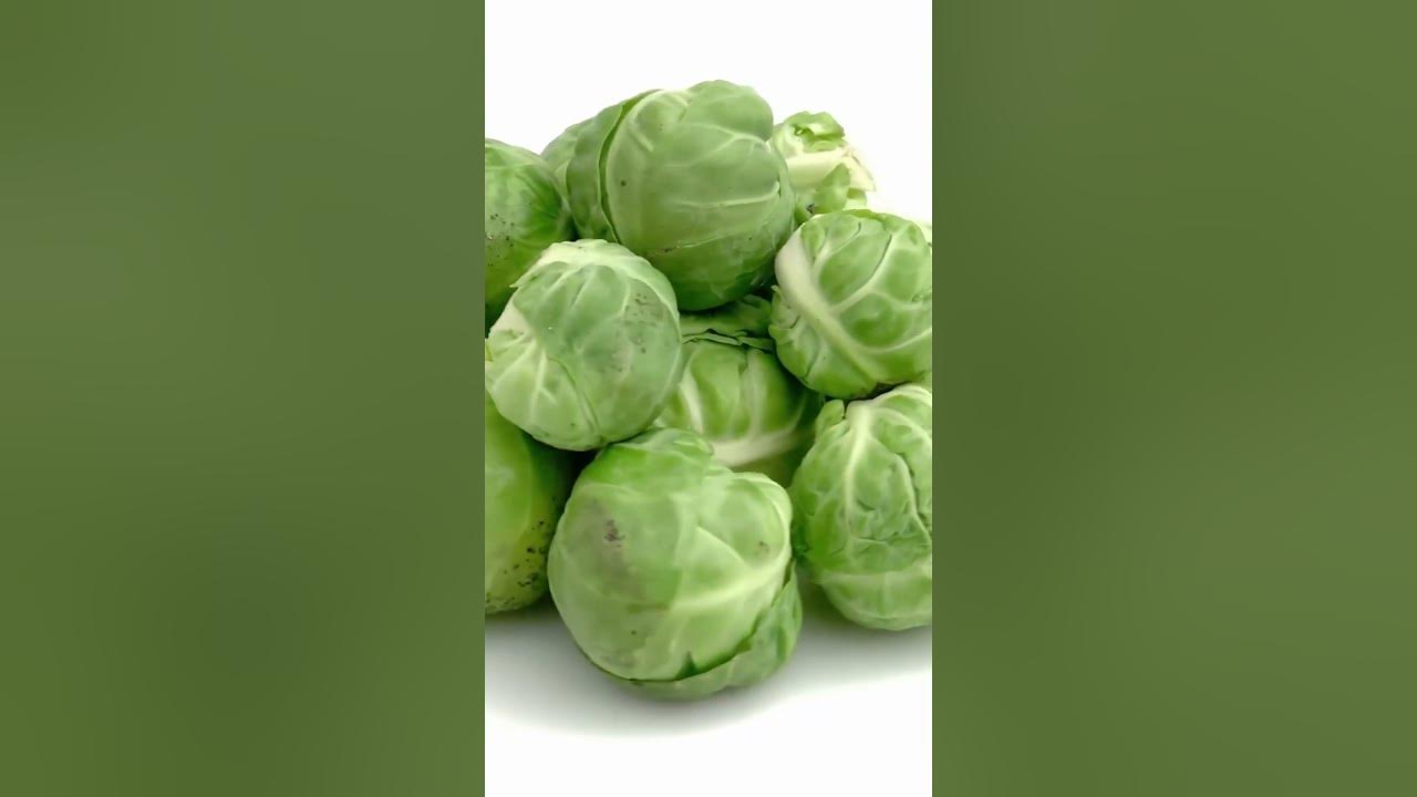 'Video thumbnail for Give Pain the Brussel Sprout Boot! #shorts'